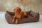 Dog & Cat bed Sweet Dreams Brown
