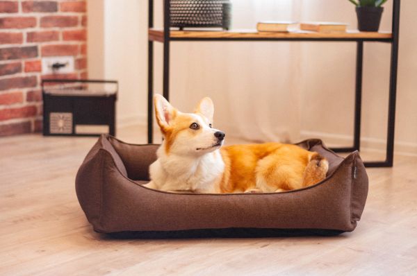 Dog & Cat bed Sweet Dreams Brown