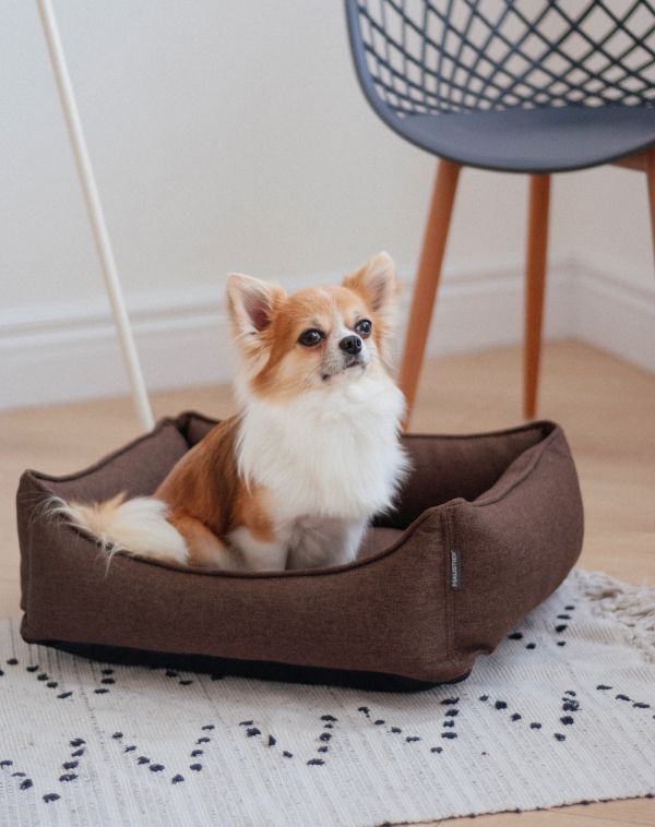 Dog & Cat bed Sweet Dreams Brown