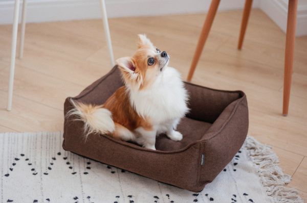 Dog & Cat bed Sweet Dreams Brown