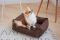 Dog & Cat bed Sweet Dreams Brown