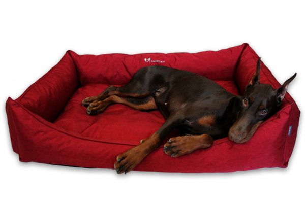 Waterproof dog bed Sweet Dreams Winter Cherry
