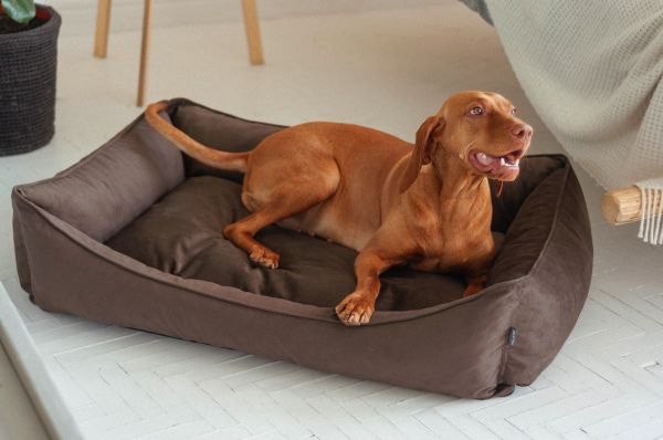 Dog & Cat bed Sweet Dreams Chocolate