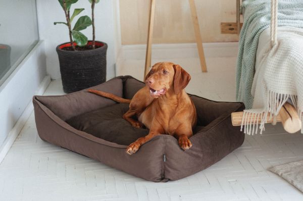 Dog & Cat bed Sweet Dreams Chocolate