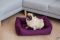 Лежак для Собак та Котів Sweet Dreams Purple рогожка