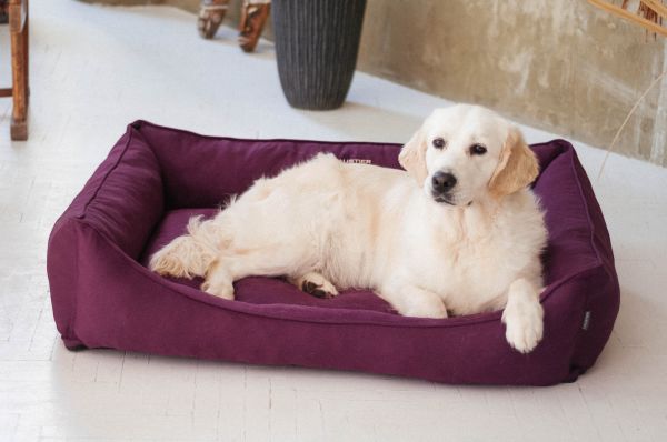 Лежак для Собак та Котів Sweet Dreams Purple рогожка