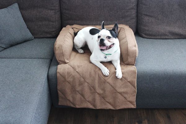 Лежак для Собак та Котів на диван Sofa Bed Honey рогожка