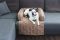 Лежак для Собак та Котів на диван Sofa Bed Honey рогожка