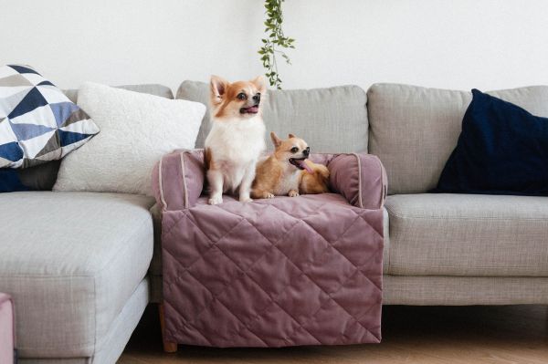 Лежак для Собак та Котів на диван Sofa Bed Powder велюр