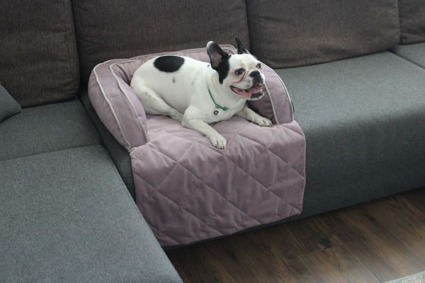 Лежак для Собак та Котів на диван Sofa Bed Powder велюр