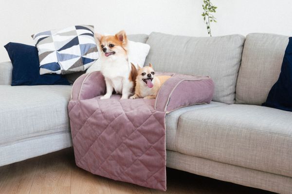 Лежак для Собак та Котів на диван Sofa Bed Powder велюр