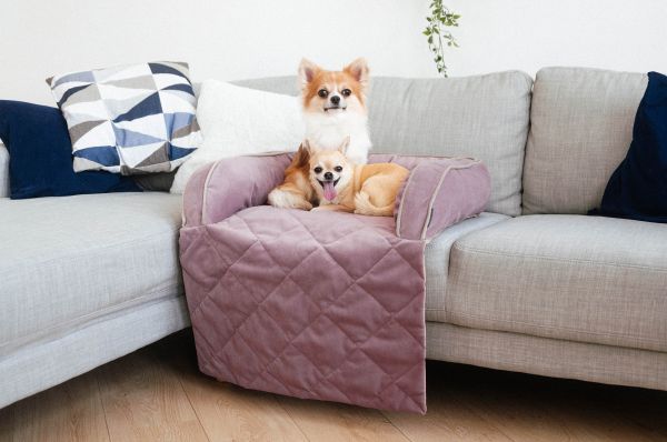 Лежак для Собак та Котів на диван Sofa Bed Powder велюр