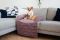 Лежак для Собак та Котів на диван Sofa Bed Powder велюр