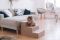 Сходинки для Собак Beige 3х-рівневі