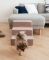 Сходинки для Собак Beige 3х-рівневі