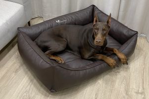 Лежак для Собак Sweet Dreams Chocolate экокожа влагостойкий