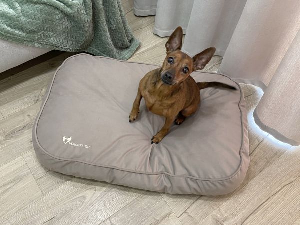 Матрац для Собак та Котів Teddy Beige