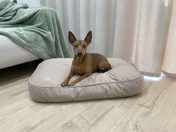 Матрац для Собак та Котів Teddy Beige