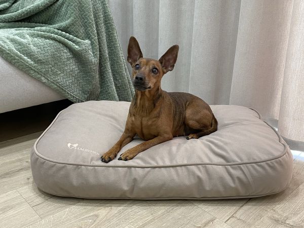 Матрац для Собак та Котів Teddy Beige