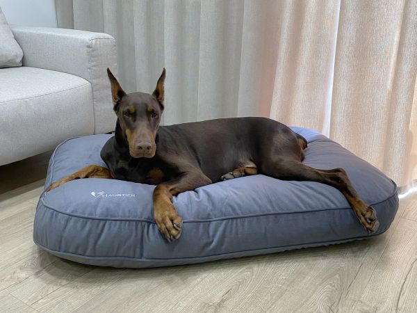 Матрац для Собак та Котів Teddy Graphite
