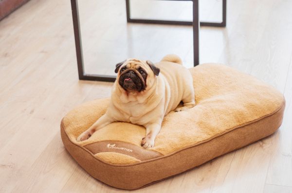 Матрац для Собак та Котів Teddy Honey